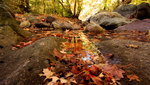 photo thumbnail #13