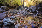 photo thumbnail #15