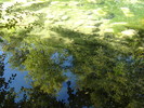 photo thumbnail #15