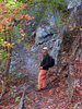 photo thumbnail #12
