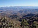 photo thumbnail #13