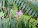 photo thumbnail #2