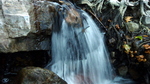 photo thumbnail #13