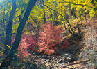 photo thumbnail #4
