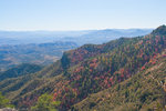 photo thumbnail #11