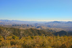 photo thumbnail #14