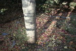 photo thumbnail #14