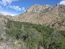 photo thumbnail #10