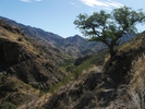 photo thumbnail #12