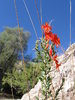photo thumbnail #14