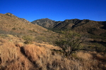 photo thumbnail #6