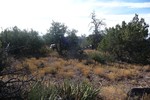 photo thumbnail #11