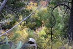photo thumbnail #14