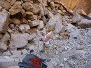 photo thumbnail #10
