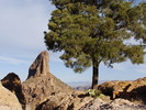 photo thumbnail #4