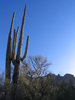 photo thumbnail #2
