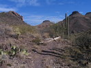 photo thumbnail #8