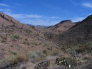 photo thumbnail #9