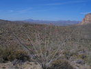 photo thumbnail #11
