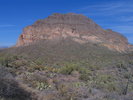 photo thumbnail #12