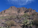 photo thumbnail #14