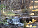 photo thumbnail #1