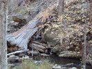 photo thumbnail #4