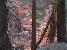 photo thumbnail #11