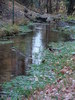 photo thumbnail #12