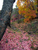 photo thumbnail #10