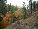 photo thumbnail #12