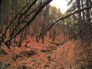 photo thumbnail #13