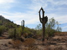 photo thumbnail #8