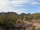 photo thumbnail #11