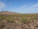 photo thumbnail #13