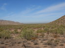 photo thumbnail #14