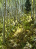 photo thumbnail #2