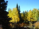 photo thumbnail #10