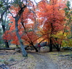 photo thumbnail #7