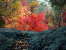 photo thumbnail #8