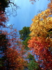 photo thumbnail #13