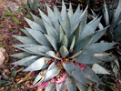 photo thumbnail #15