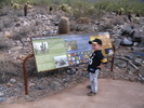 photo thumbnail #10
