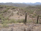 photo thumbnail #5
