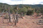 recent photo