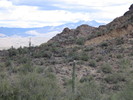 photo thumbnail #13