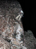 photo thumbnail #14