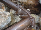 photo thumbnail #8