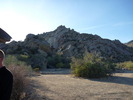 recent photo