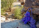 photo thumbnail #7